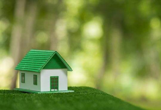 Figurka domu stojąca na trawie. W tle las rozmyty efektem bokeh